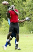 OTFL Gallery Image